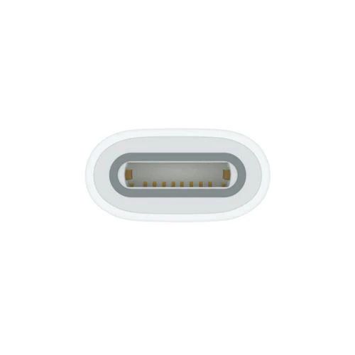 Adaptador USB-C para Apple Pencil - Image 3