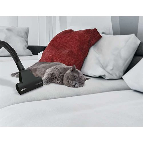 Aspirador com Saco Hoover PC20PET 011 - Outlet -Grade A - Image 9