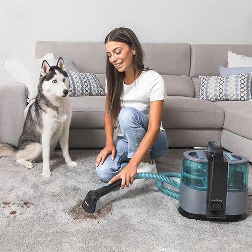 Aspirador de Estofos Cecotec Conga 4000 Carpet&Spot Clean XL - Lava e Aspira - Outlet - Grade A - Image 7