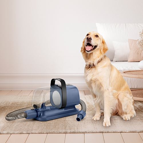 Aspirador e Multigroom Ufesa Pet Buddy Groom - Azul - Image 2