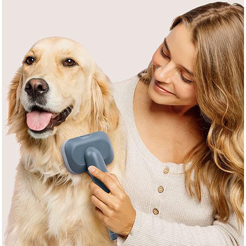 Aspirador e Multigroom Ufesa Pet Buddy Groom - Azul - Image 3