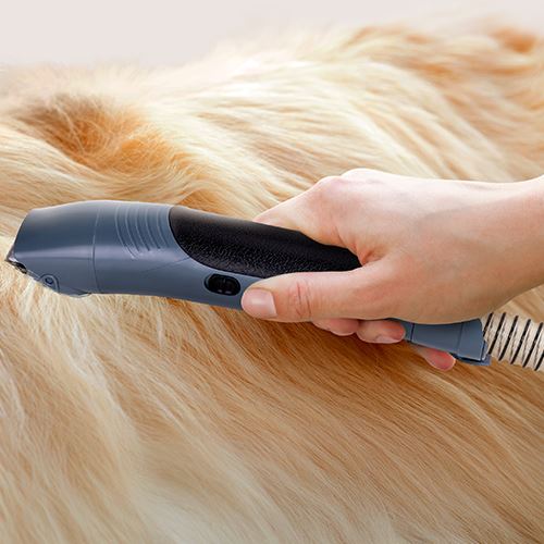 Aspirador e Multigroom Ufesa Pet Buddy Groom - Azul - Image 5
