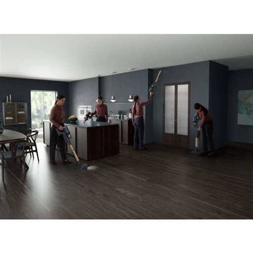 Aspirador Vertical AEG AP81B25WET - Image 6