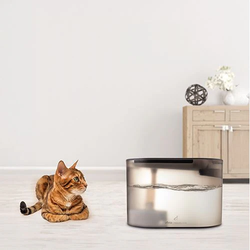 Bebedouro Ufesa Pet Buddy Drink - Image 4