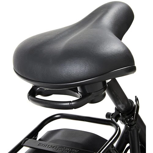 Bicicleta Elétrica Wayscral Everyway E300 24'' - Preto - Image 3