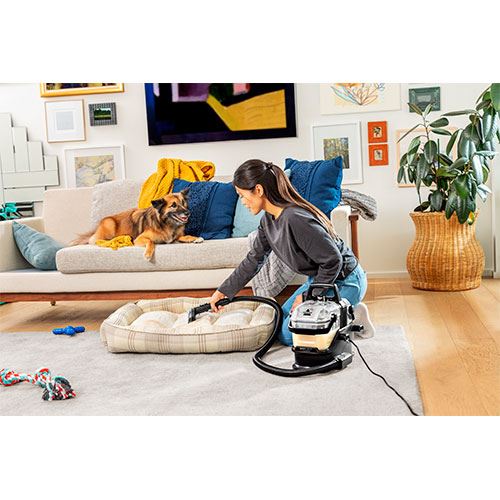 Aspirador Spotclean Bissel 3697N HydroSteam | 1.9 L | 1000 W | Preto - Image 3