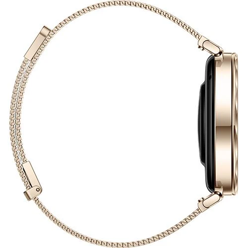 Bundle HUAWEI Watch GT 5 41 mm - Dourado - Image 6