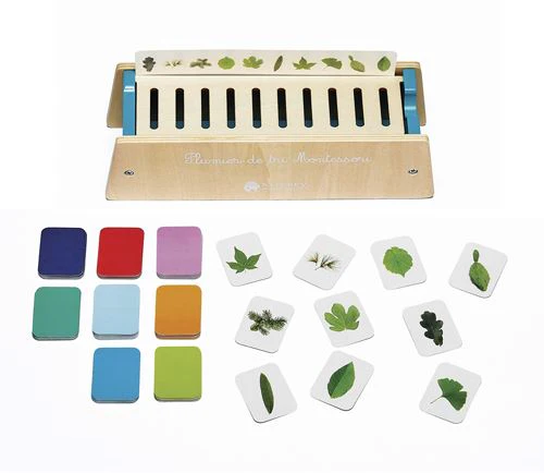 Caixa de Classificação Montessori - Image 2
