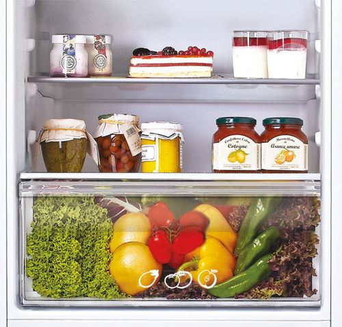 Frigorífico Combinado Encastrável Candy CKBBS 100/1 | 176,9x54x54,5 cm | 190 L | F | Branco - Image 2
