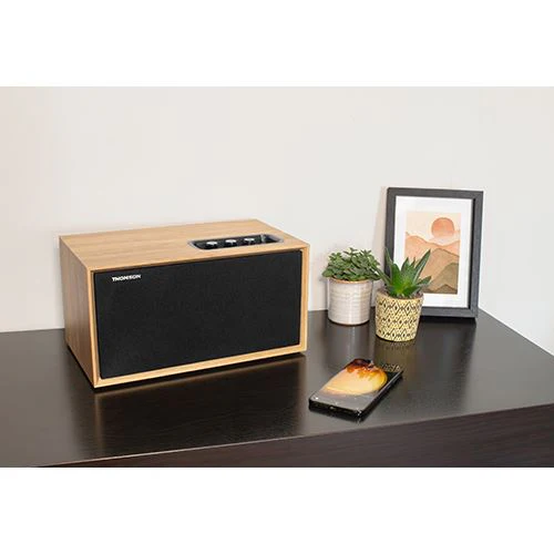 Coluna Bluetooth Thomson Cosy WS502 - Madeira - Image 7