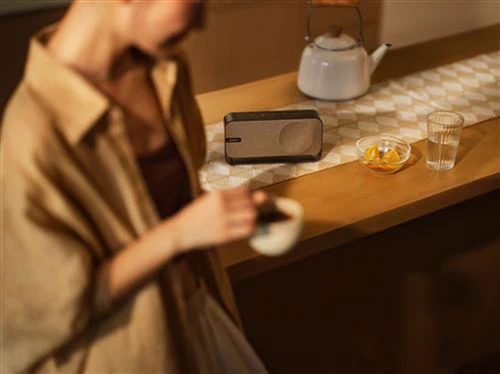 Coluna Portátil Bluetooth Bose SoundLink Home - Warm Wood - Image 7
