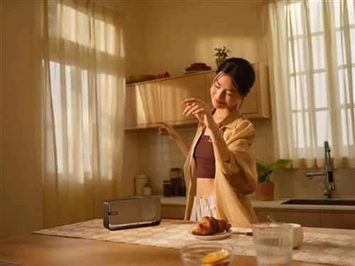 Coluna Portátil Bluetooth Bose SoundLink Home - Warm Wood - Image 8