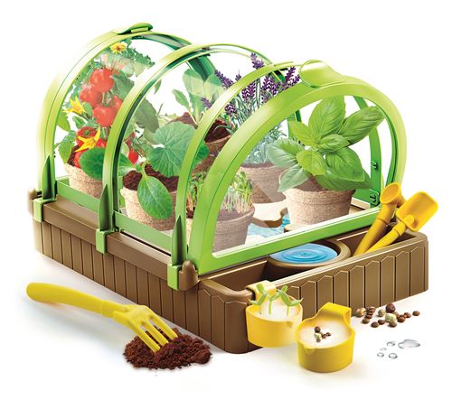 Eco Estufa - Image 3