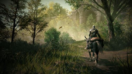 Elden Ring: Shadow Of The Erdtree Collector's Edition - PS5 - Image 4