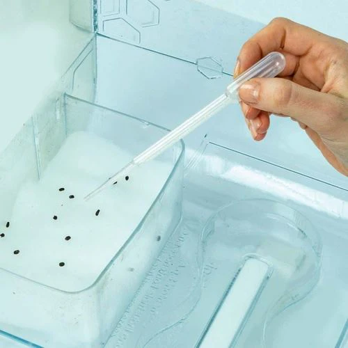 Estufa Alta Tecnologia - Nature & Découvertes - Image 5