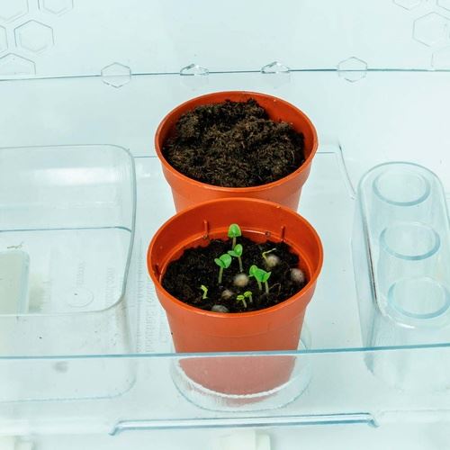 Estufa Alta Tecnologia - Nature & Découvertes - Image 6