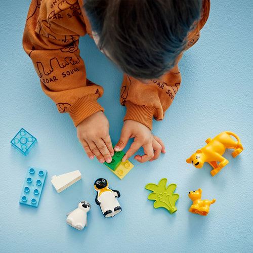 LEGO DUPLO Town 10442 - Famílias de Animais Selvagens: Pinguins e Leões - Image 5
