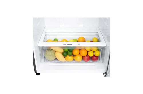 Frigorífico com Congelador LG GTF744PZPZD | 180x78x73 cm | 382 L | E | Aço inoxidável - Image 4