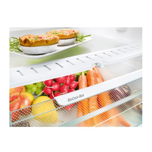 Frigorífico Combinado Liebherr CNef 5735 | 201x70x66,5 cm | 299 L | D | Prateado - Image 4
