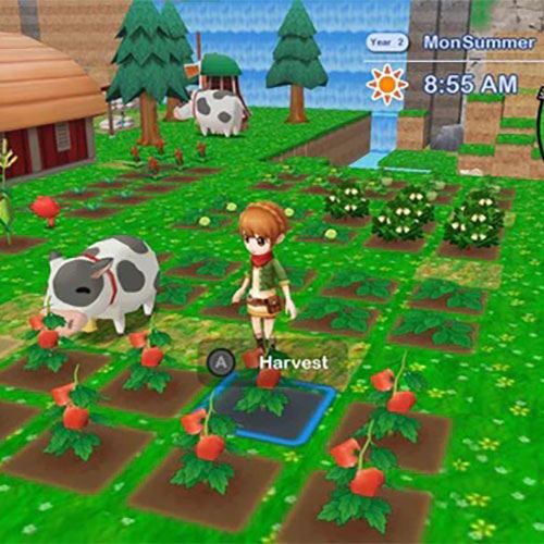 Harvest Moon: The Lost Valley & Skytree Village - Collector's Edition - Nintendo Switch - Image 3