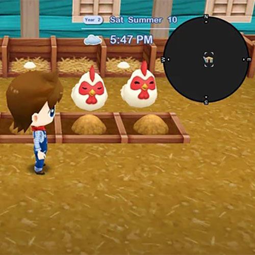 Harvest Moon: The Lost Valley & Skytree Village - Nintendo Switch - Image 2