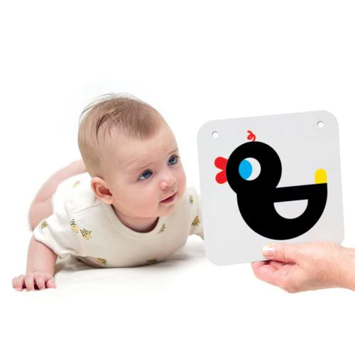 High Contrast Baby Cards Step 1 - Banana Panda - Image 3