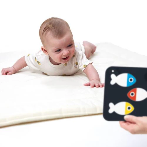 High Contrast Baby Cards Step 1 - Banana Panda - Image 5