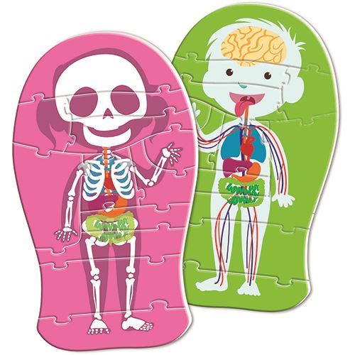 Jogo O Corpo Humano - Education Clementoni - Image 5