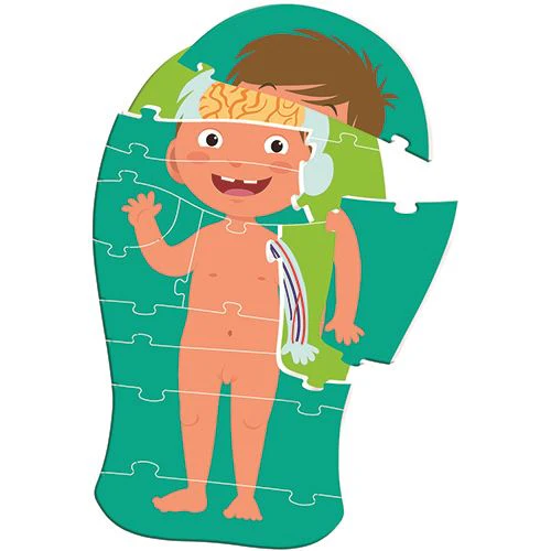 Jogo O Corpo Humano - Education Clementoni - Image 6