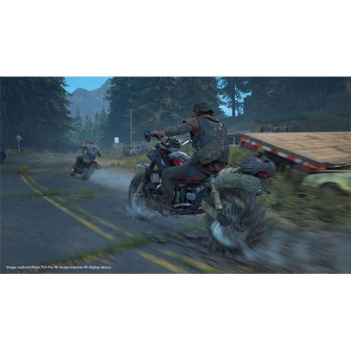 Days Gone - PS4 - Image 2