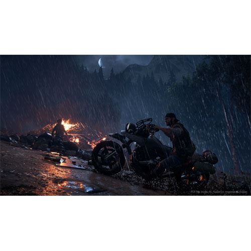 Days Gone - PS4 - Image 4