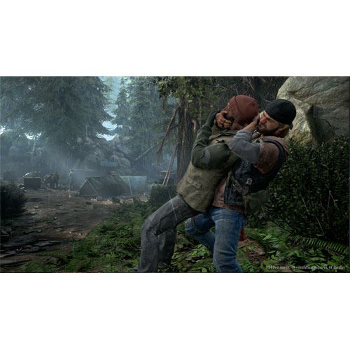 Days Gone - PS4 - Image 6