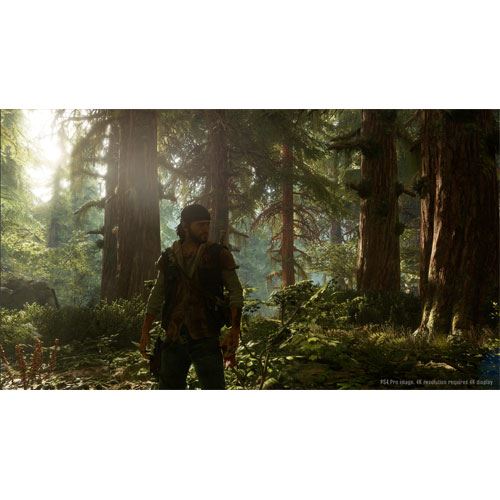 Days Gone - PS4 - Image 8
