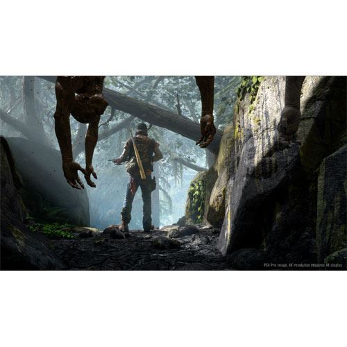 Days Gone - PS4 - Image 9