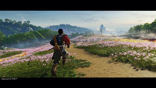 Ghost of Tsushima Director’s Cut - PS4 - Image 10