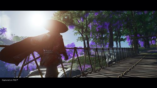 Ghost of Tsushima Director’s Cut - PS4 - Image 15