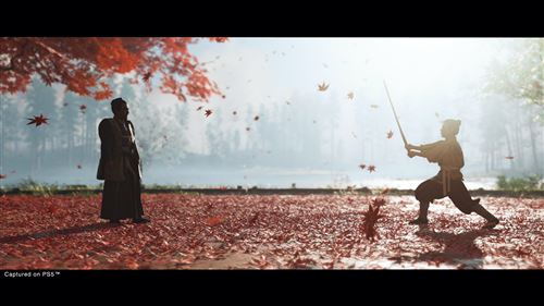 Ghost of Tsushima Director’s Cut - PS4 - Image 2