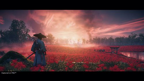 Ghost of Tsushima Director’s Cut - PS4 - Image 3