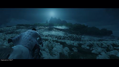 Ghost of Tsushima Director’s Cut - PS4 - Image 7