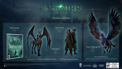 Hogwarts Legacy Deluxe Edition - Nintendo Switch - Image 2
