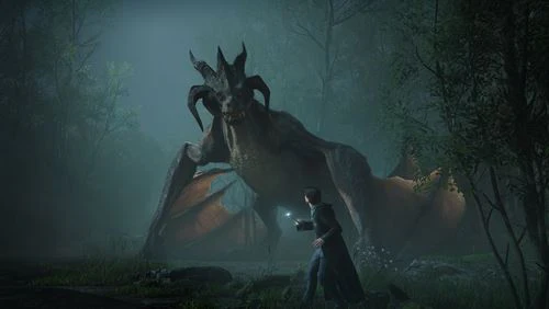 Hogwarts Legacy Deluxe Edition - Nintendo Switch - Image 3
