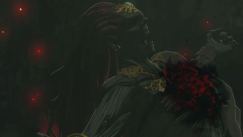The Legend of Zelda - Tears of The Kingdom - Edição Especial Limitada - Nintendo Switch - Image 13