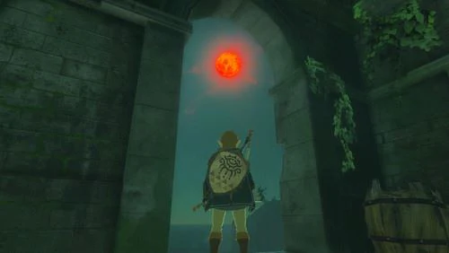 The Legend of Zelda - Tears of The Kingdom - Edição Especial Limitada - Nintendo Switch - Image 5