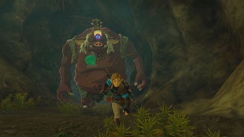 The Legend of Zelda - Tears of The Kingdom - Edição Especial Limitada - Nintendo Switch - Image 9