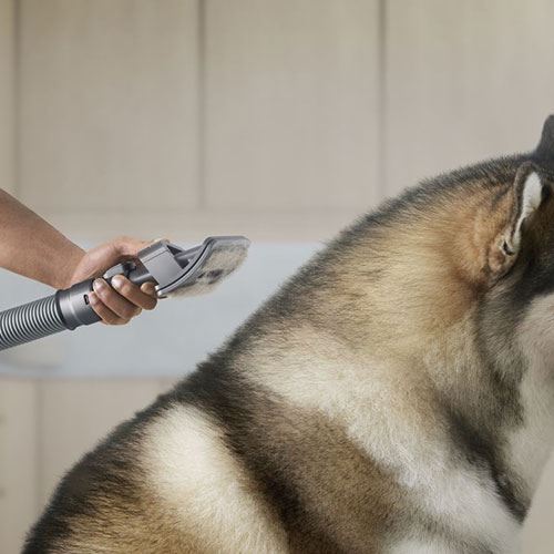Kit Dyson Pet Grooming - Image 4