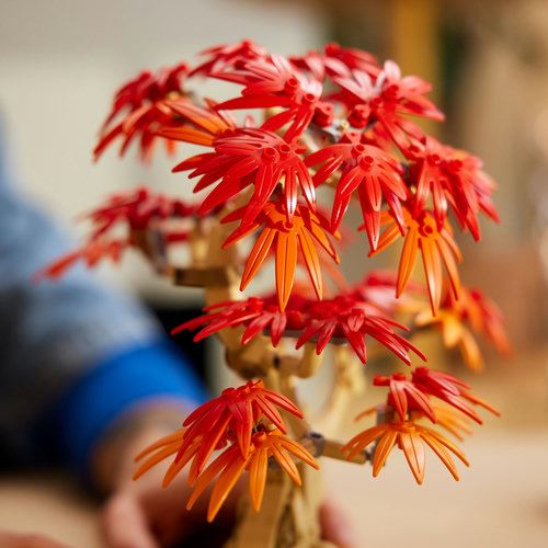 LEGO® Botanicals 10348 - Bonsai de Bordo Vermelho Japonês - Image 5