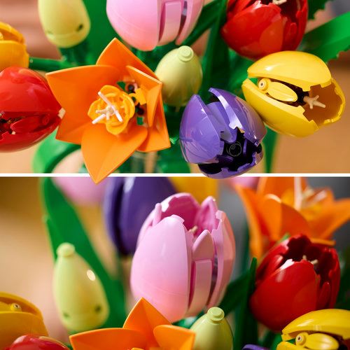 LEGO® Botanicals 11501 - Buquê de Tulipas - Image 5