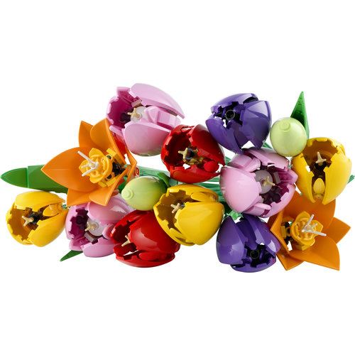 LEGO® Botanicals 11501 - Buquê de Tulipas - Image 8