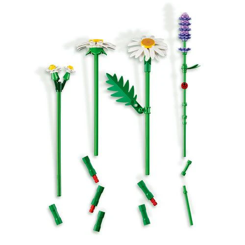 LEGO® Botanicals 11508 - Margaridas - Image 2