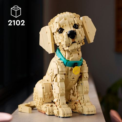 LEGO® Icons 11384 - Cachorrinho Golden Retriever - Image 3